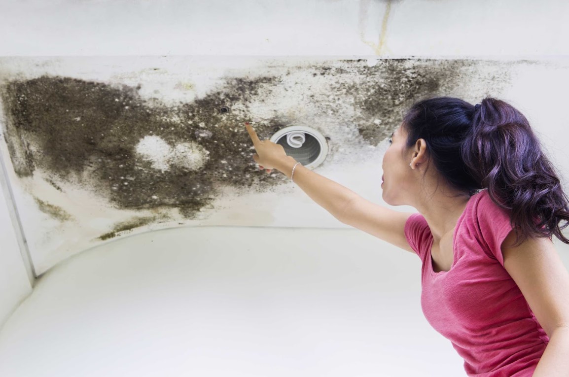 signs of roof damage
