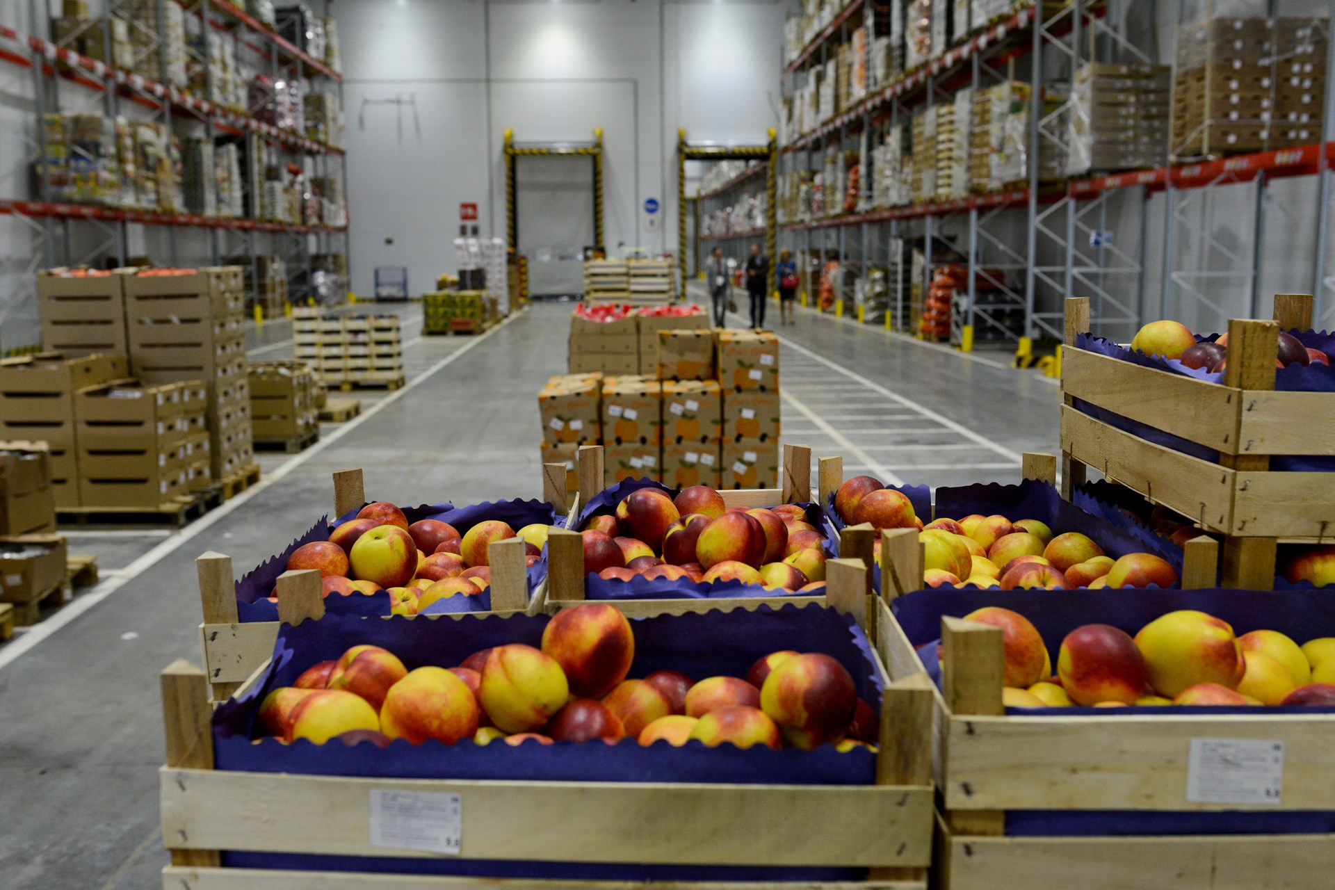 Wooden crates filled with nectarines in a large warehouse with stacked boxes and shelves.
