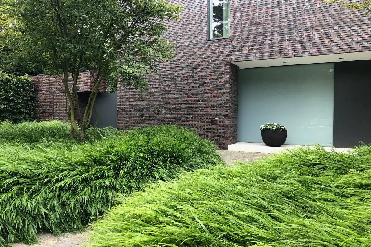Green, lush bushes in front of a modern brick house with a window front, a black planter with white flowers on the porch and trees on the left in the garden.