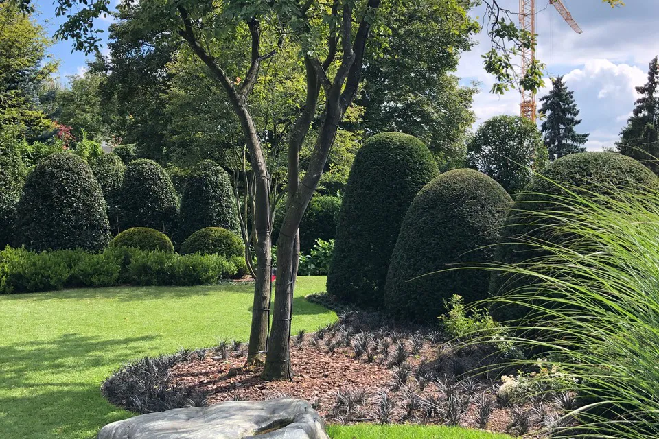 A well-kept garden with symmetrically cut, round and oval green shrubs, a tree trunk in the middle, a lawn and decorative grasses in the foreground.
