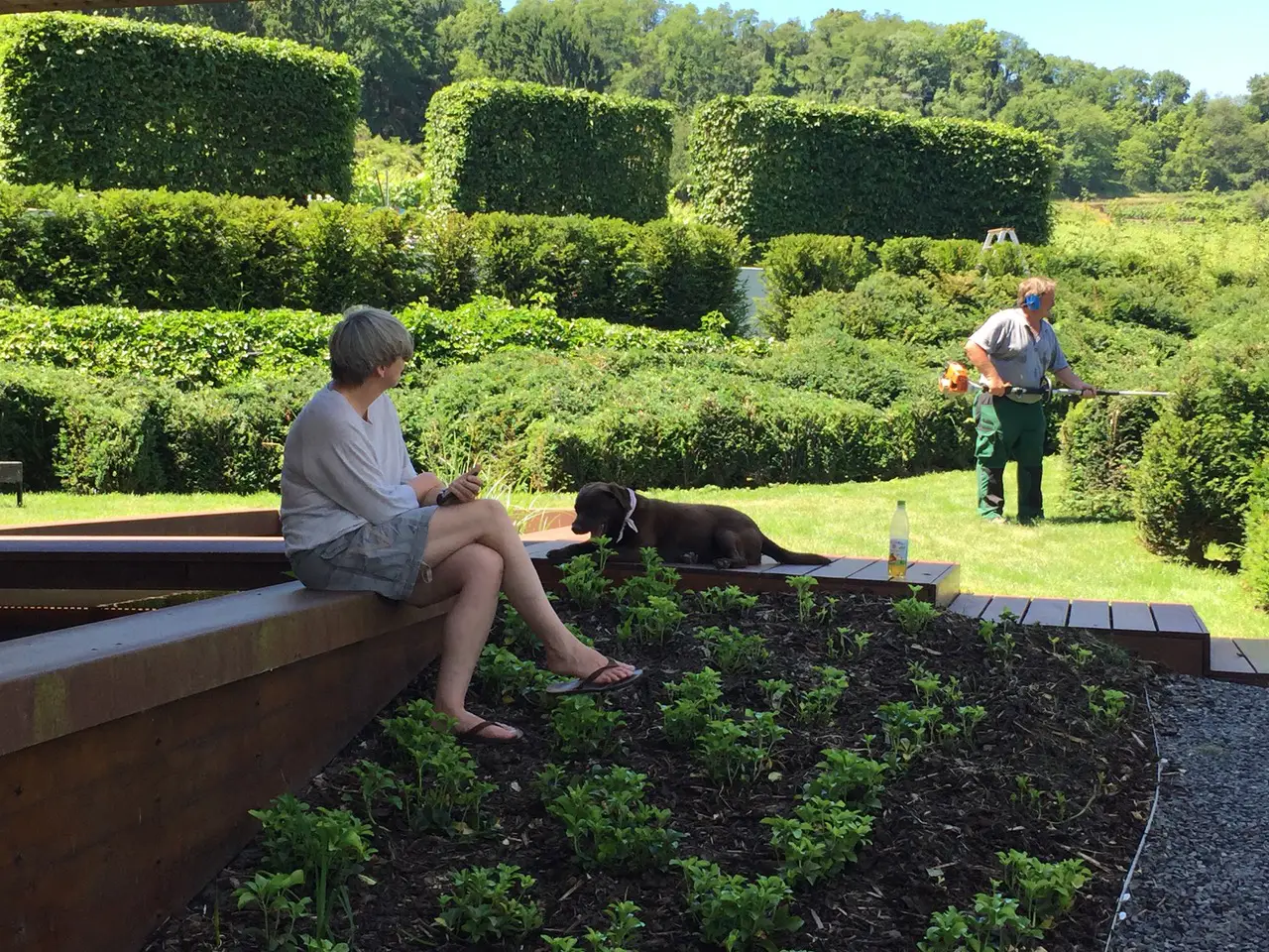 A person sits on an outdoor wooden bench next to a resting brown dog, while in the background a man wearing hearing protection and gardening tools is working on a green, well-kept garden.