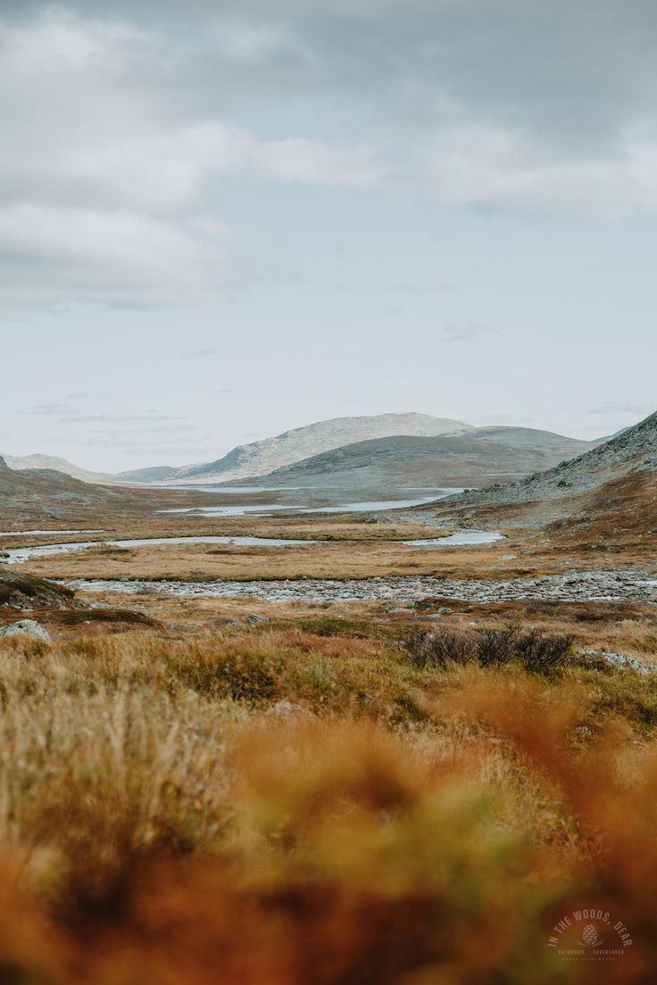 Coaching – samtal vid havet