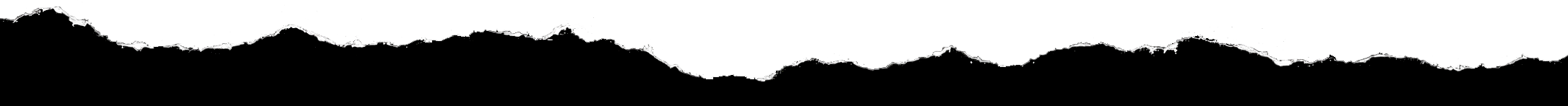 Horizontal jagged edge of torn white paper on a black background resembling a ripped page.