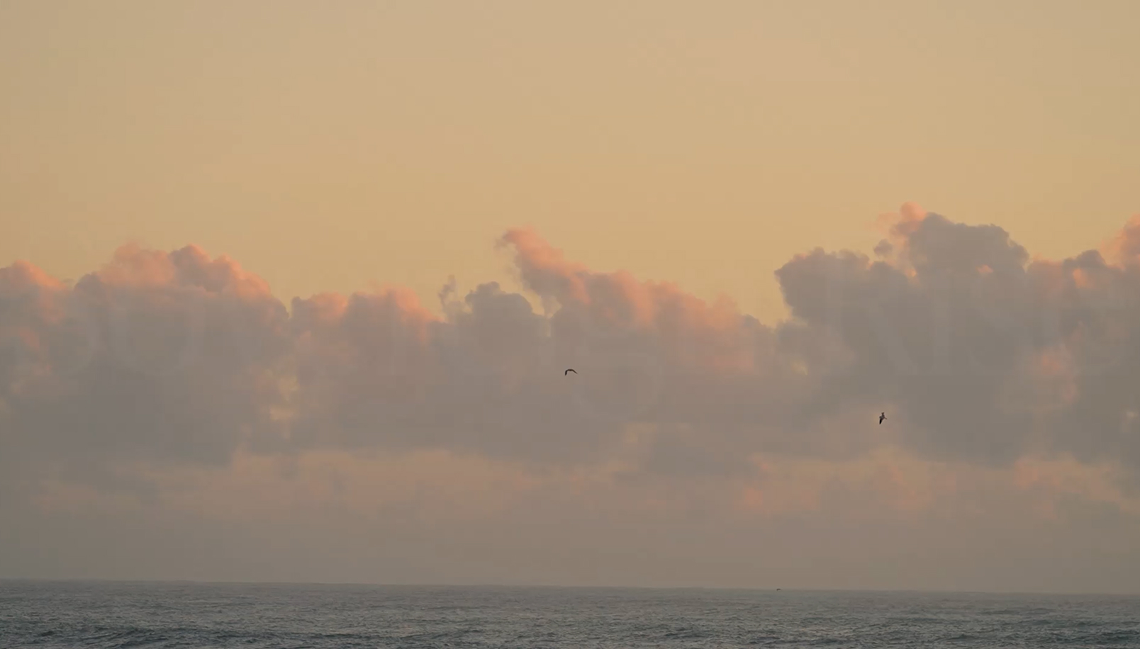 Ocean under a pastel sunset sky with scattered clouds and two birds flying above the water.