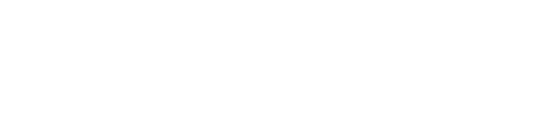 Newton Motor Group logo with bold uppercase letters and a tagline below.
