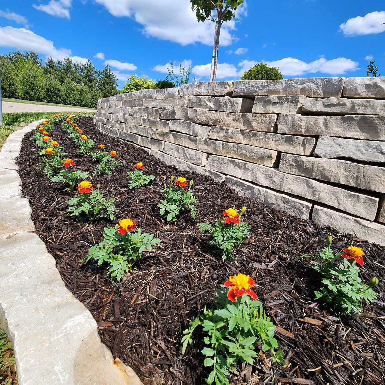 Complete landscape renovation near me | Elite Outdoor | Quincy, Illinois