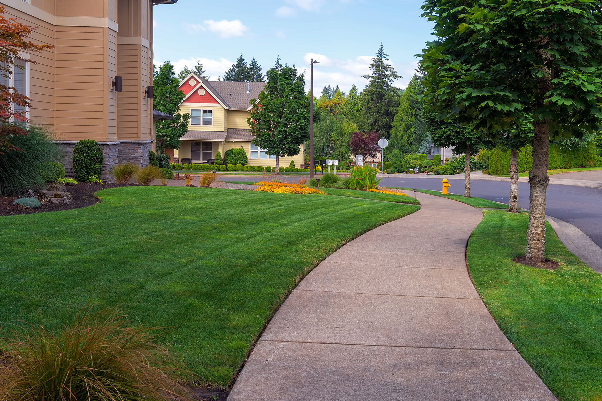 Professionally maintained residential landscape by Elite Outdoor