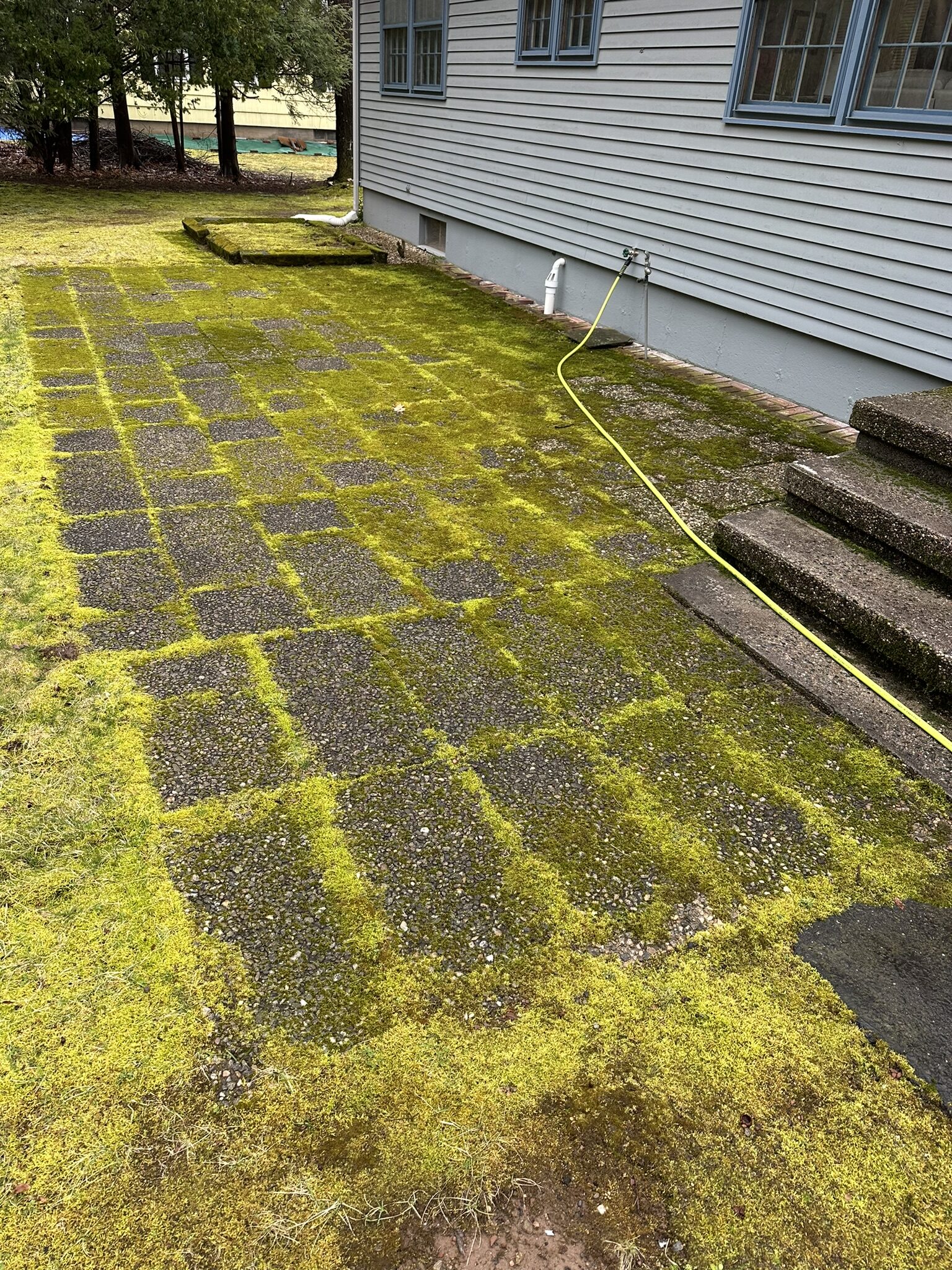 Concrete driveway with algae and dirt staining before pressure washing