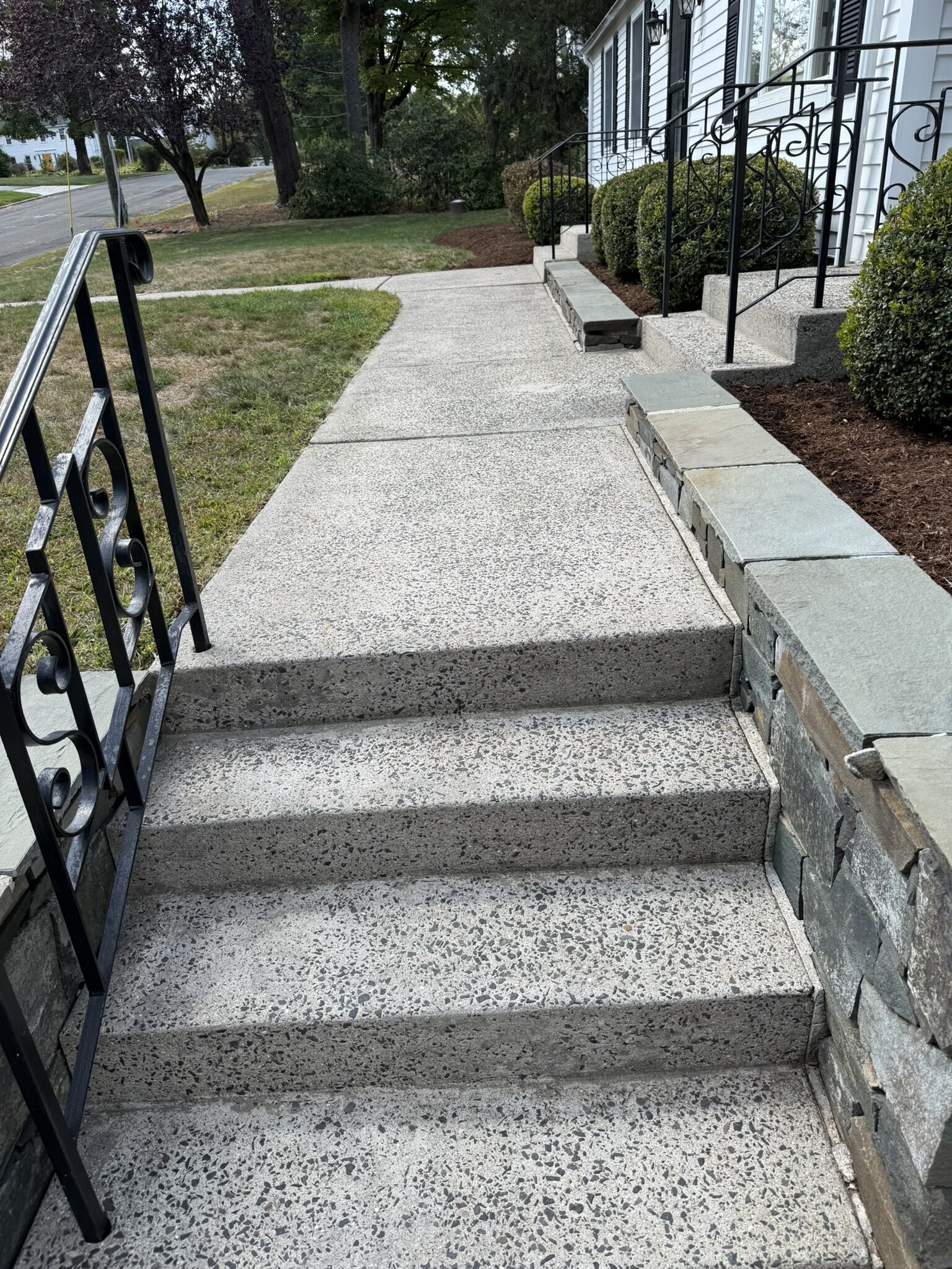 Clean concrete steps and railing after Eagle's pressure washing