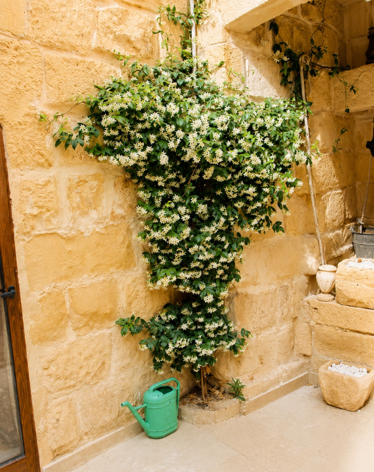 Prime Rentals property management team in Marsaxlokk, Malta