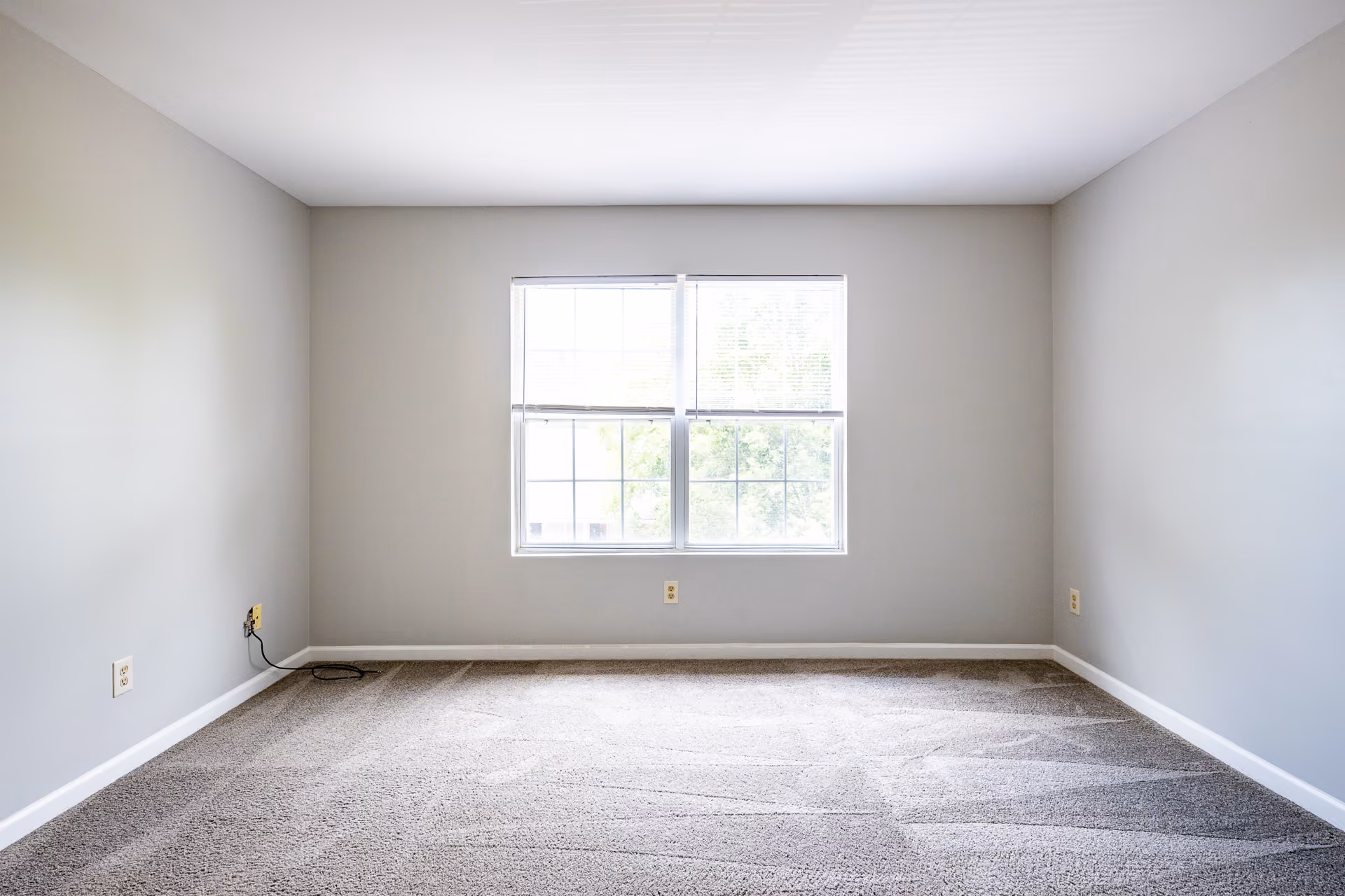 Unfurnished bedroom with carpet and large window