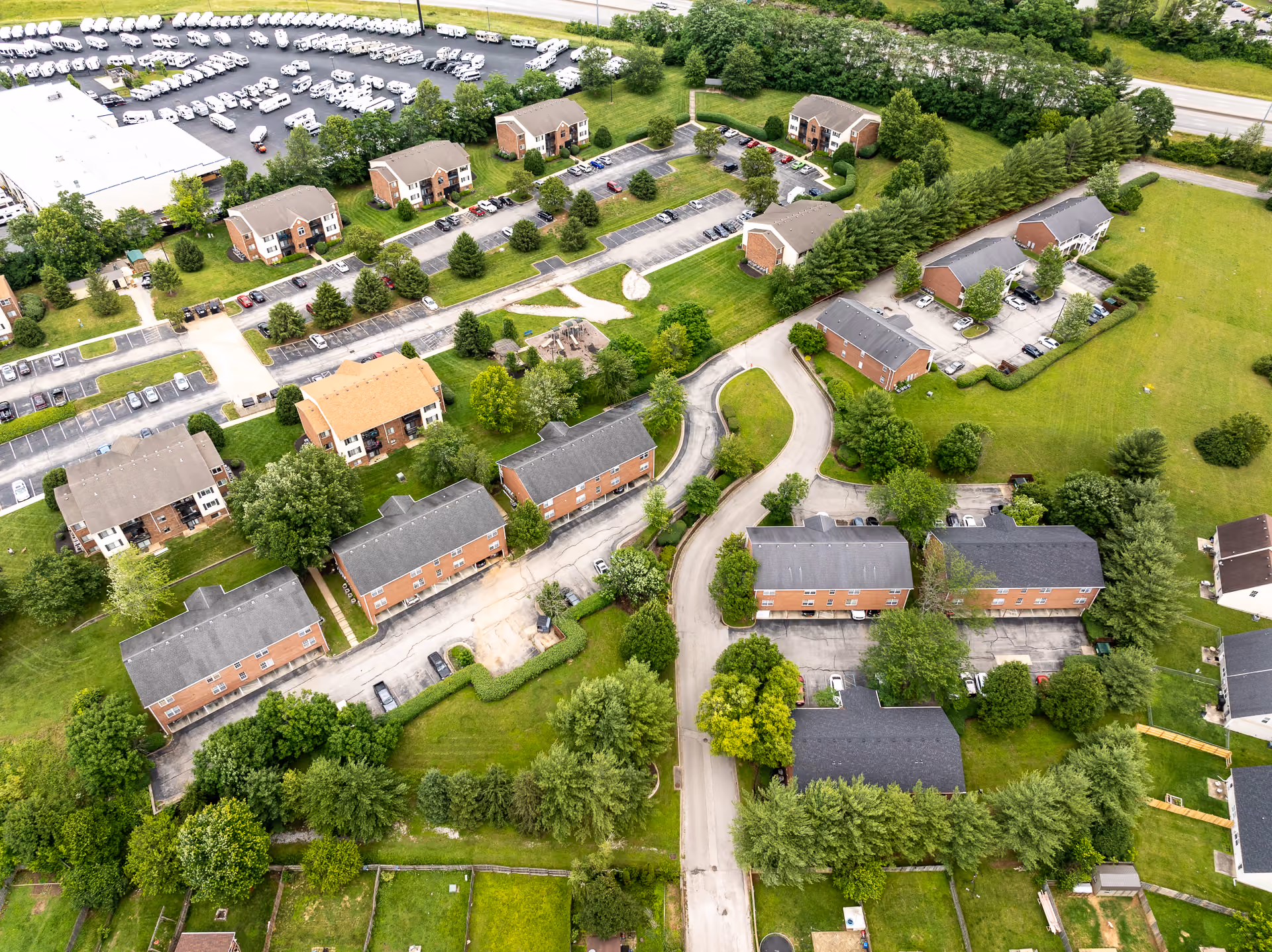 Pine Tree drone shot and surround area