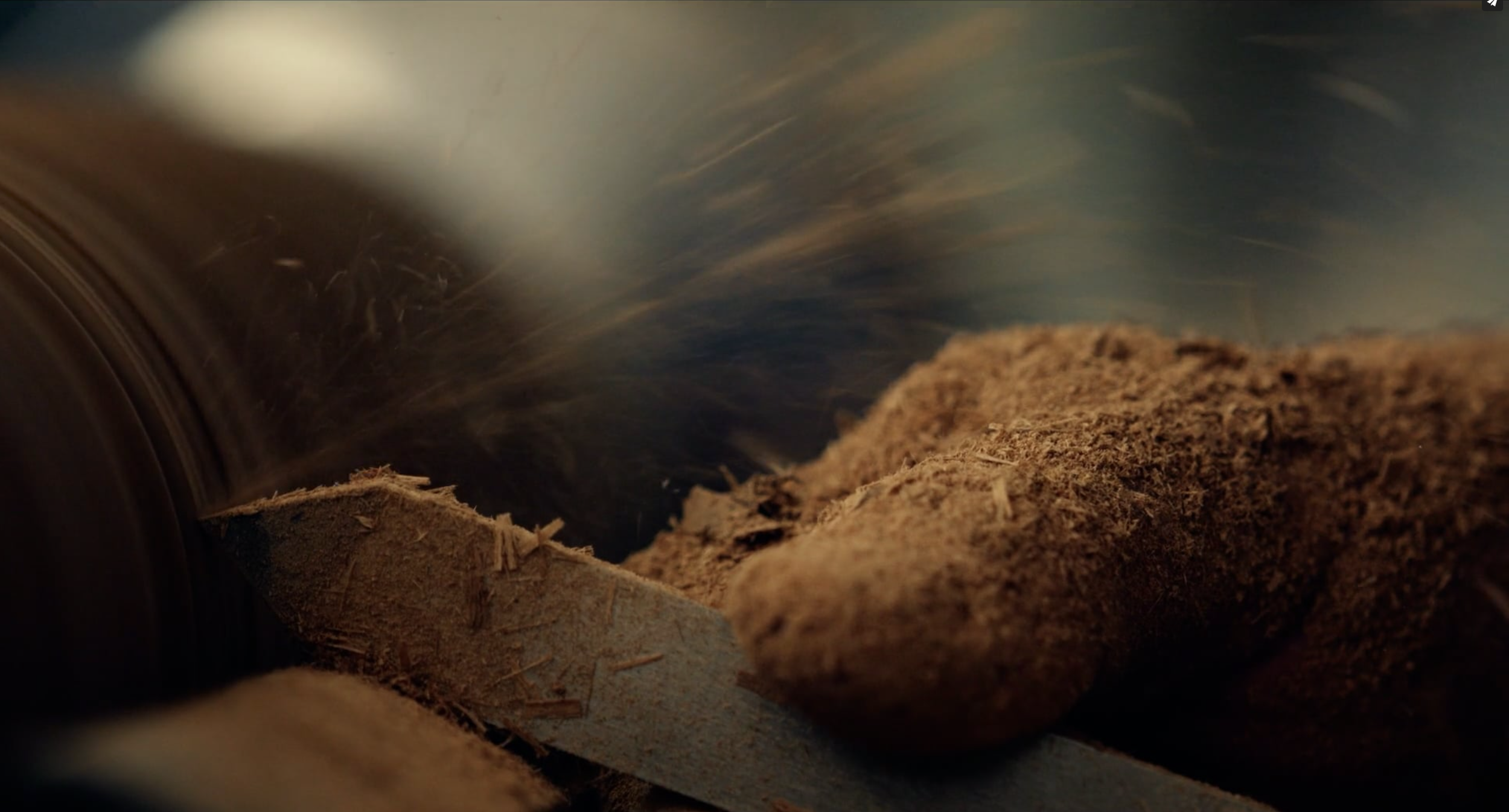 Loss for Words, Samford University film still