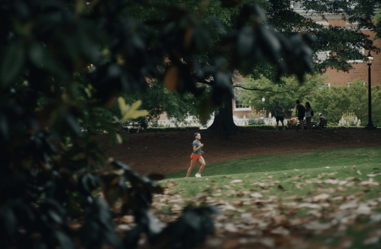Loss for Words, Samford University film still