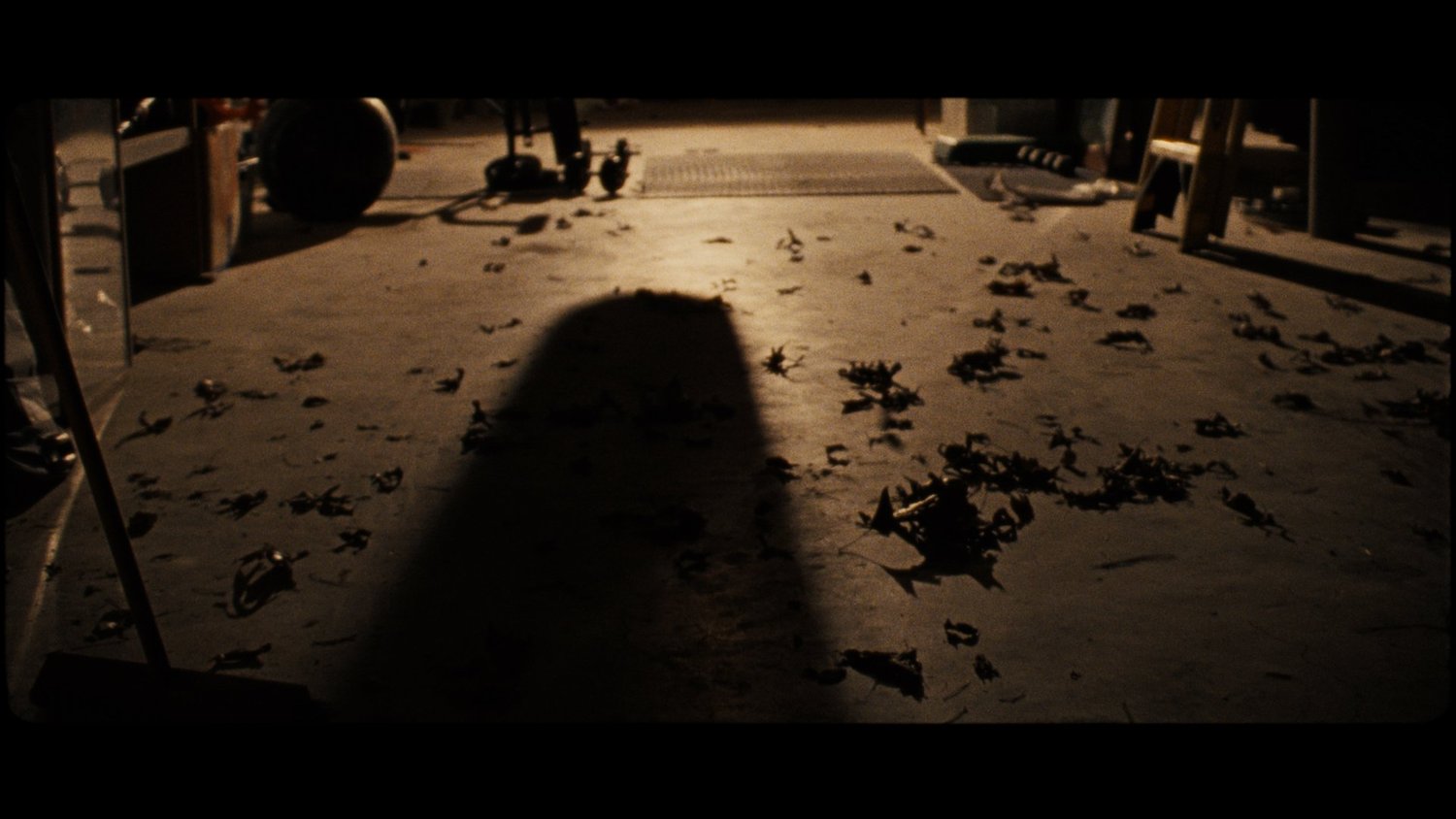 Loss for Words, Samford University film still