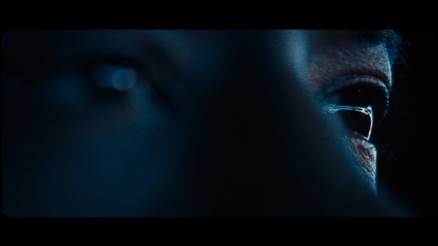Loss for Words, Samford University film still