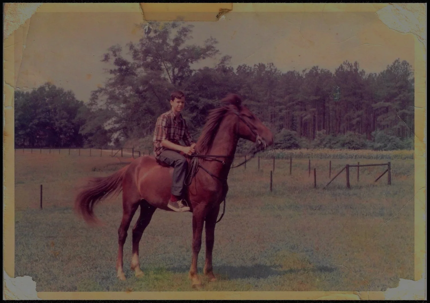 Loss for Words, Samford University film still
