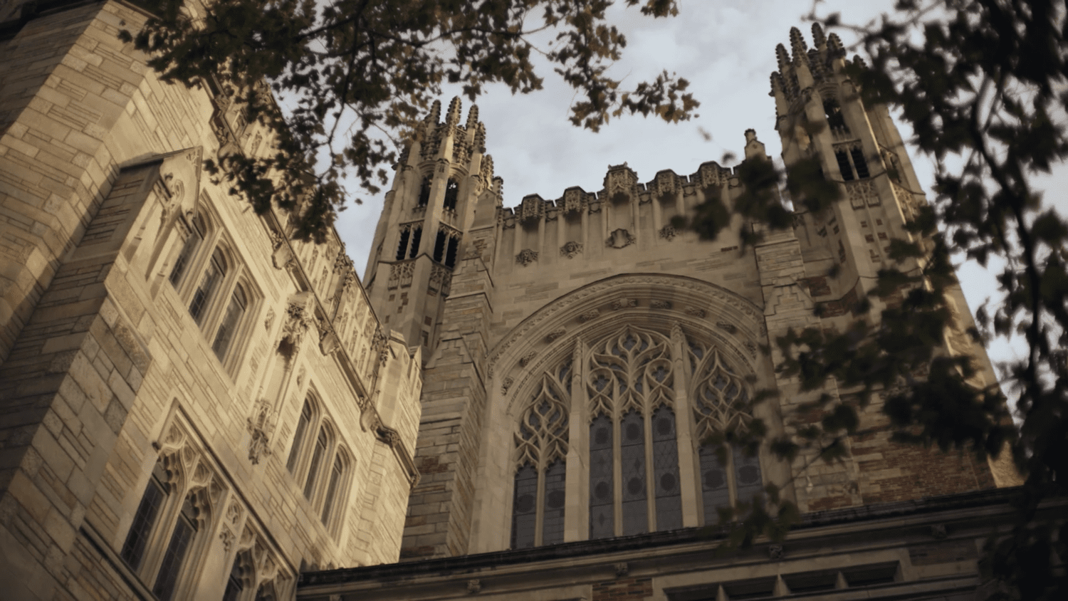 Loss for Words, Samford University film still