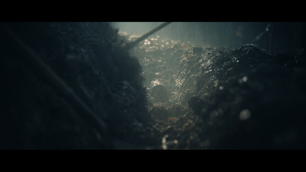 Loss for Words, Samford University film still