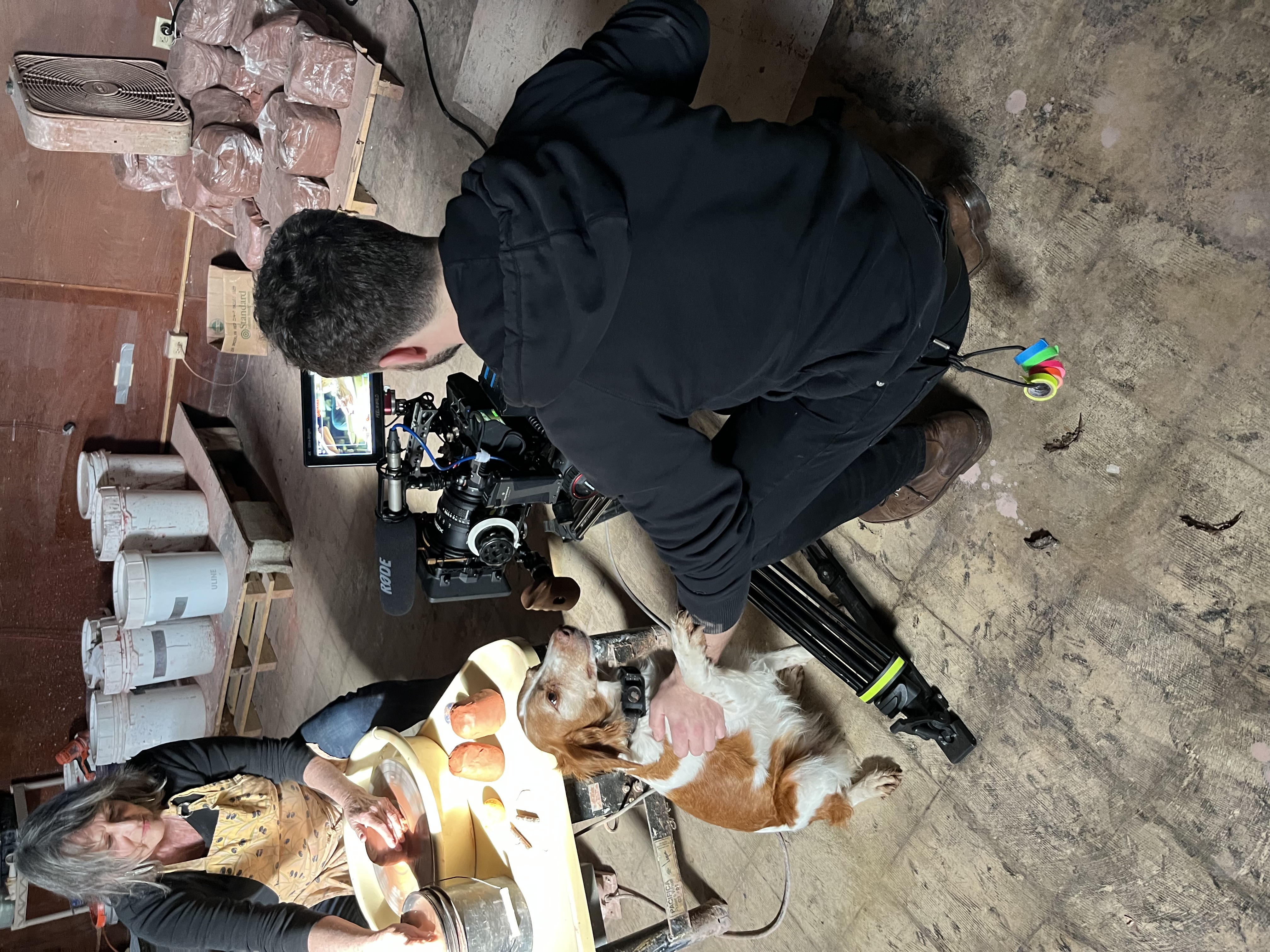 EARTHBORN BTS 5 (mans best friend)