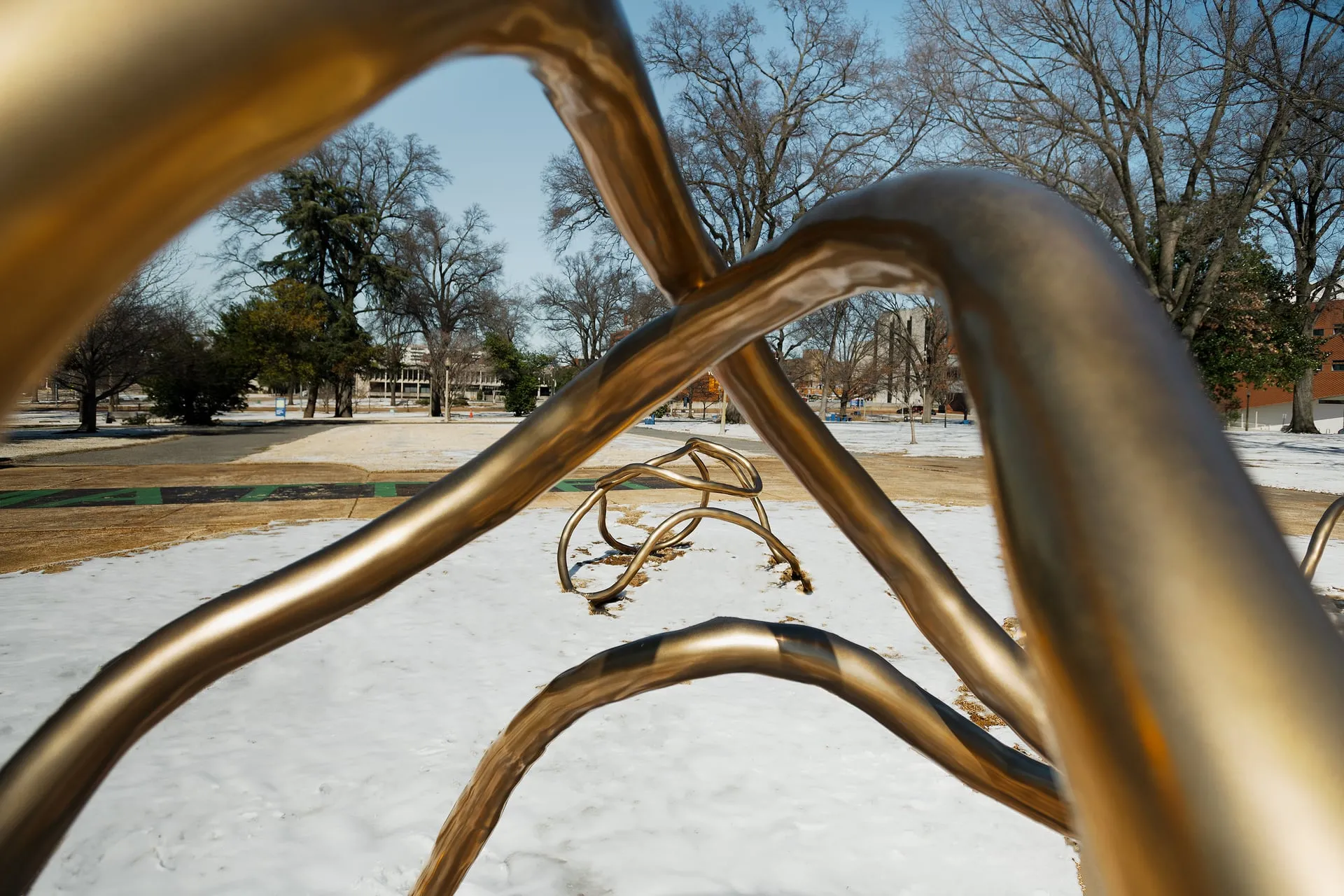 Medical District Park, Memphis, TN (2025) | Photo by Houston Cofield