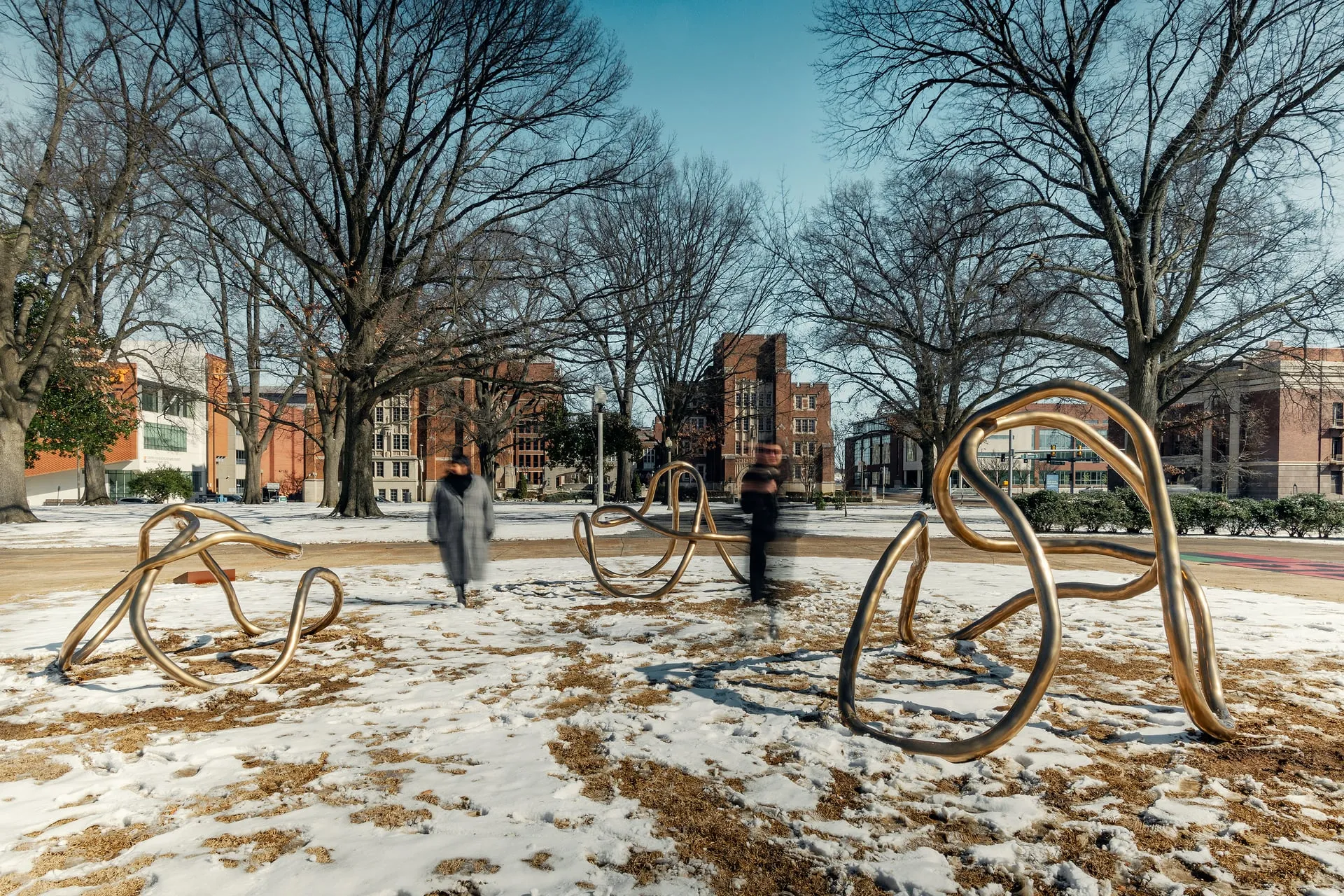 Medical District Park, Memphis, TN | Photo by Houston Cofield
