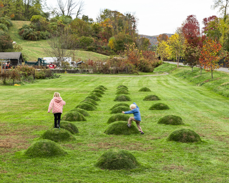 inseparable at Wassaic Project in Wassaic, NY | Photo by Joshua Simpson