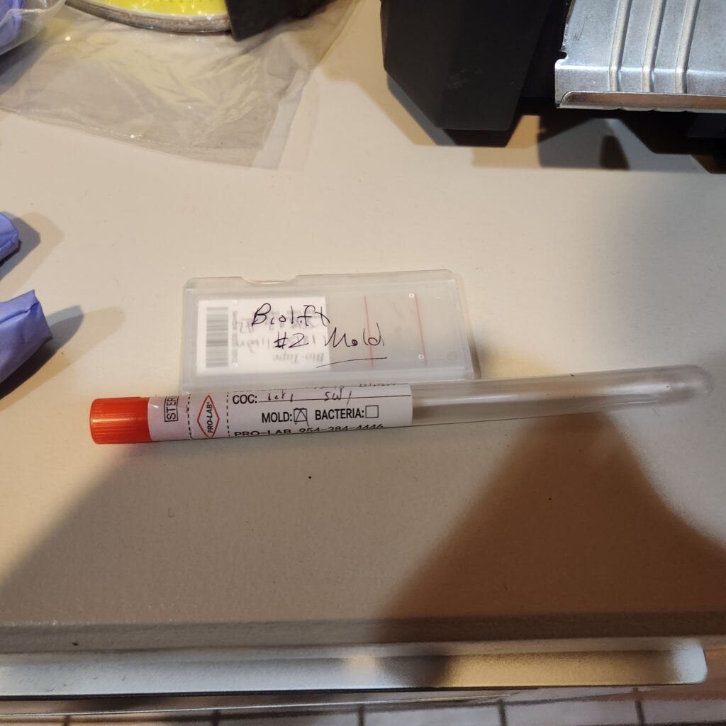 Direct samples of mold
