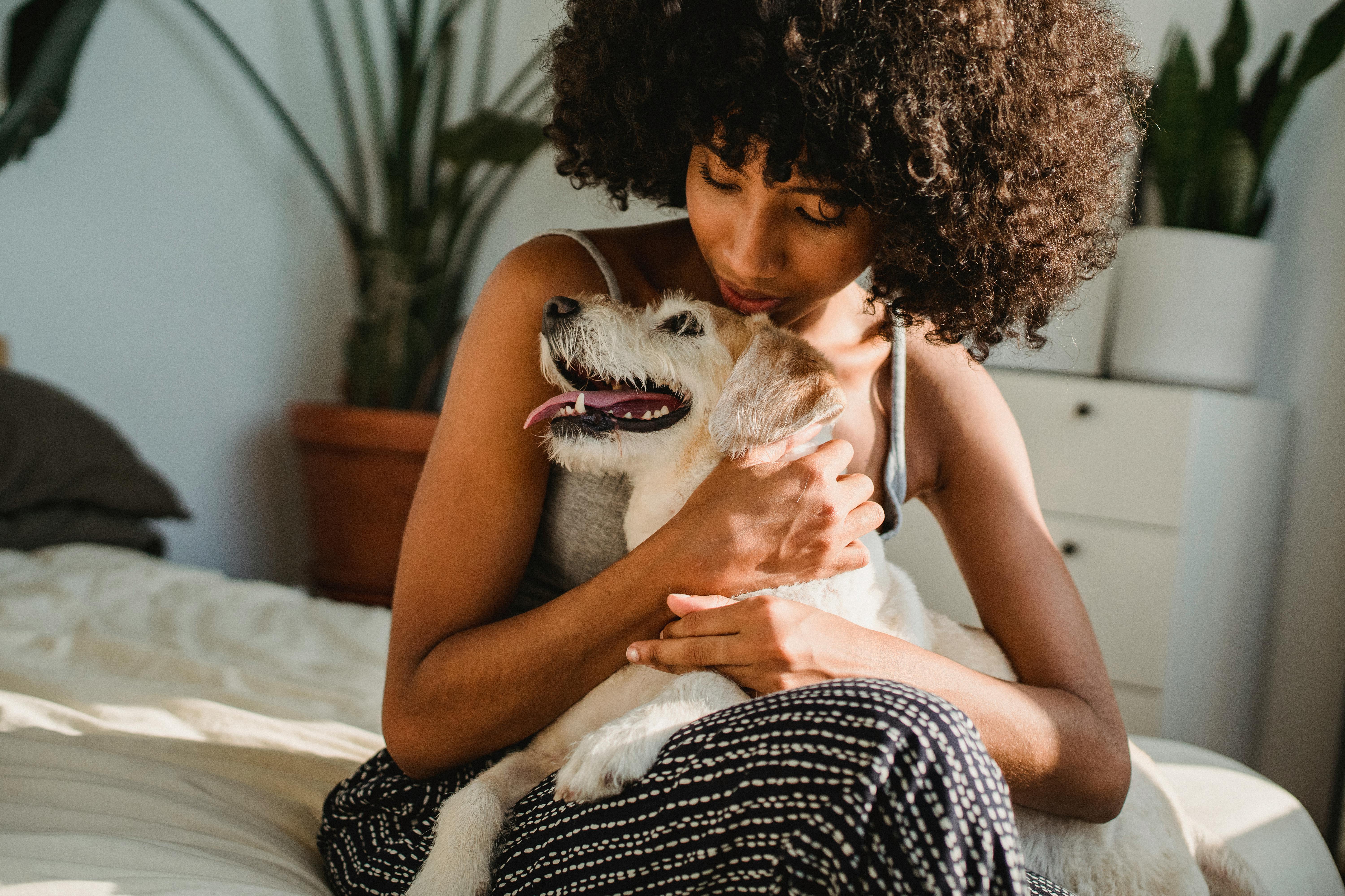 Woman with dog stock image