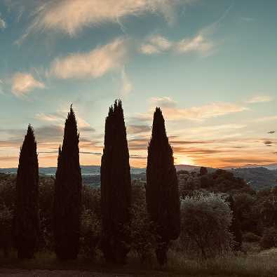 Tuscan countryside at sunset.