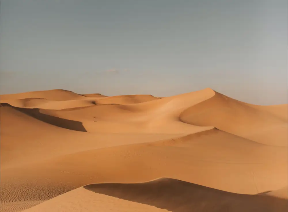 desert photo