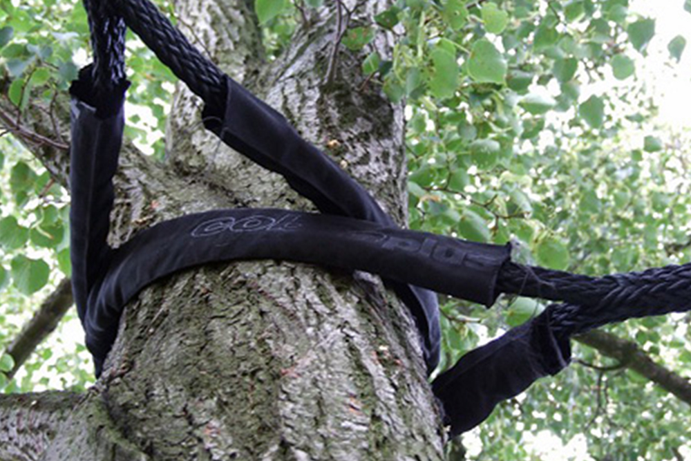 Cabling & Bracing service in Lane County, OR