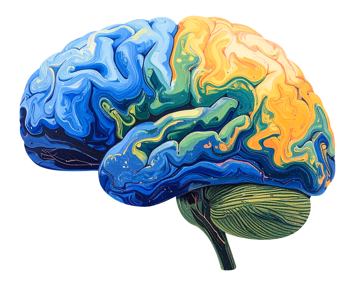 Colorful artistic rendering of a human brain with blue, green, yellow, and orange areas.