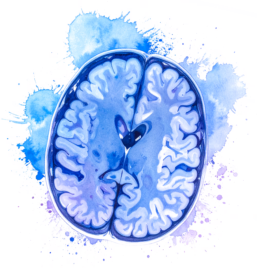 Watercolor illustration of a brain cross-section with blue and purple paint splashes.