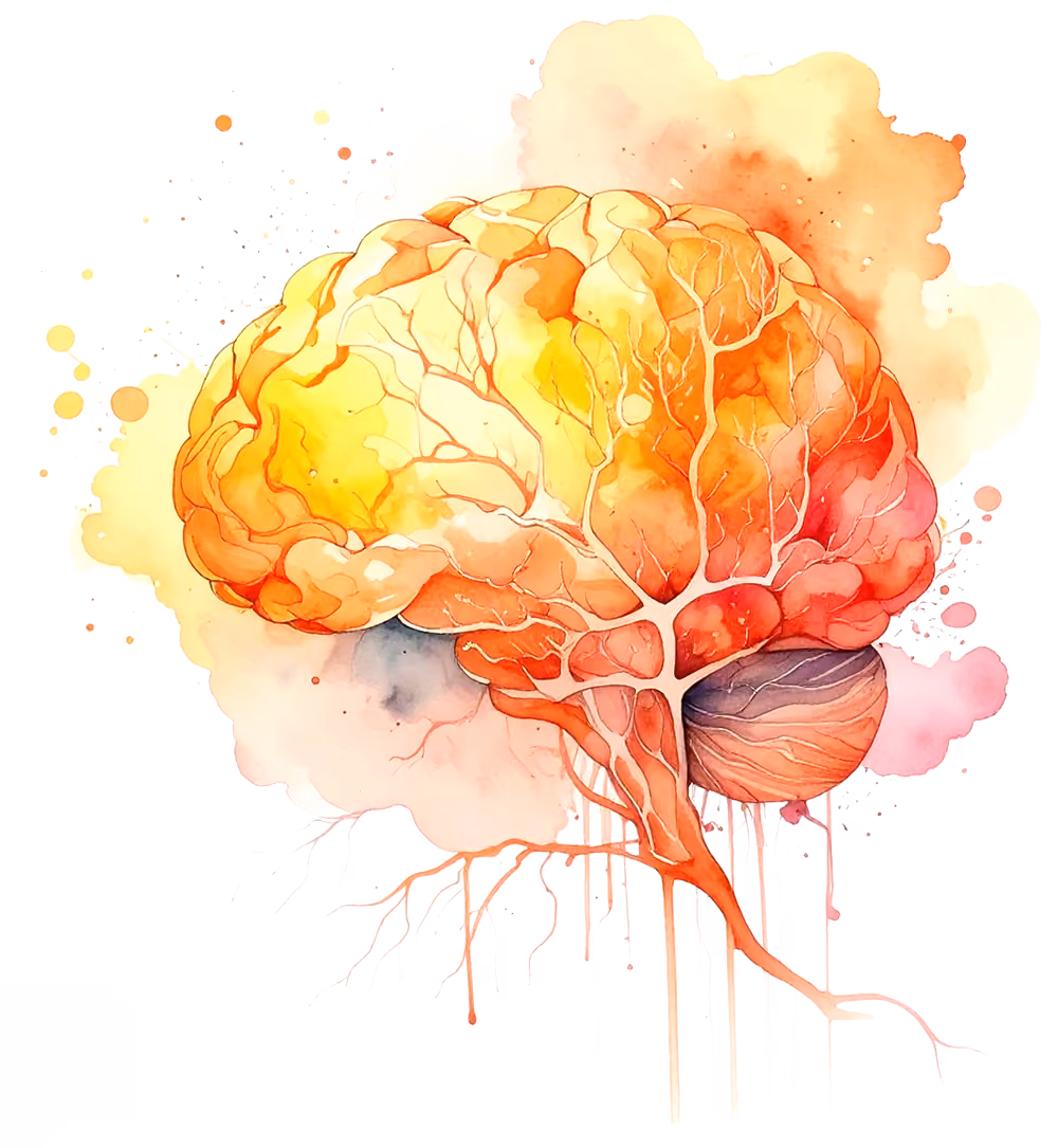 Watercolor illustration of a human brain in shades of orange, yellow, and red.