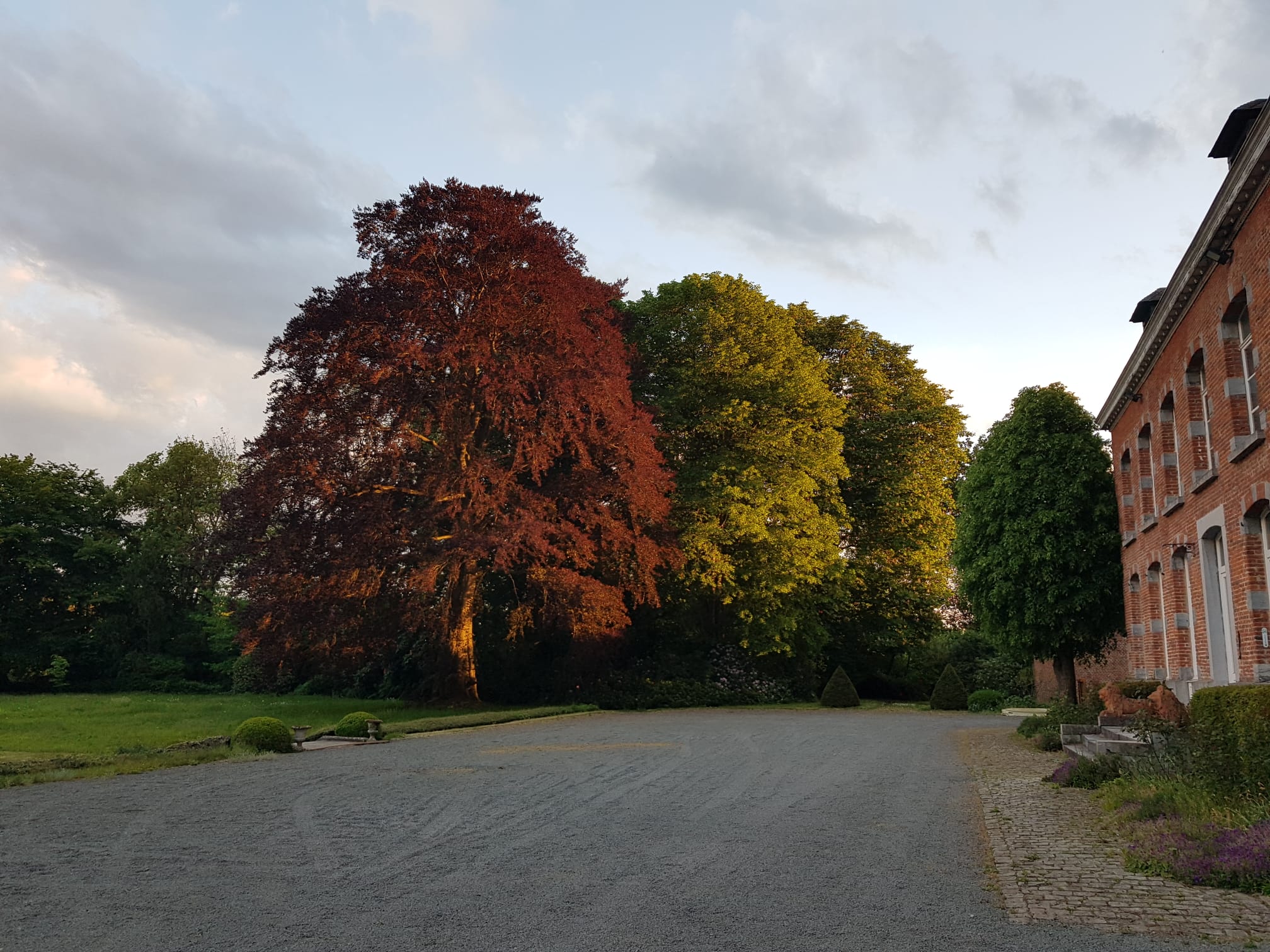 Vue du parc du Domaine des Deux Hêtres