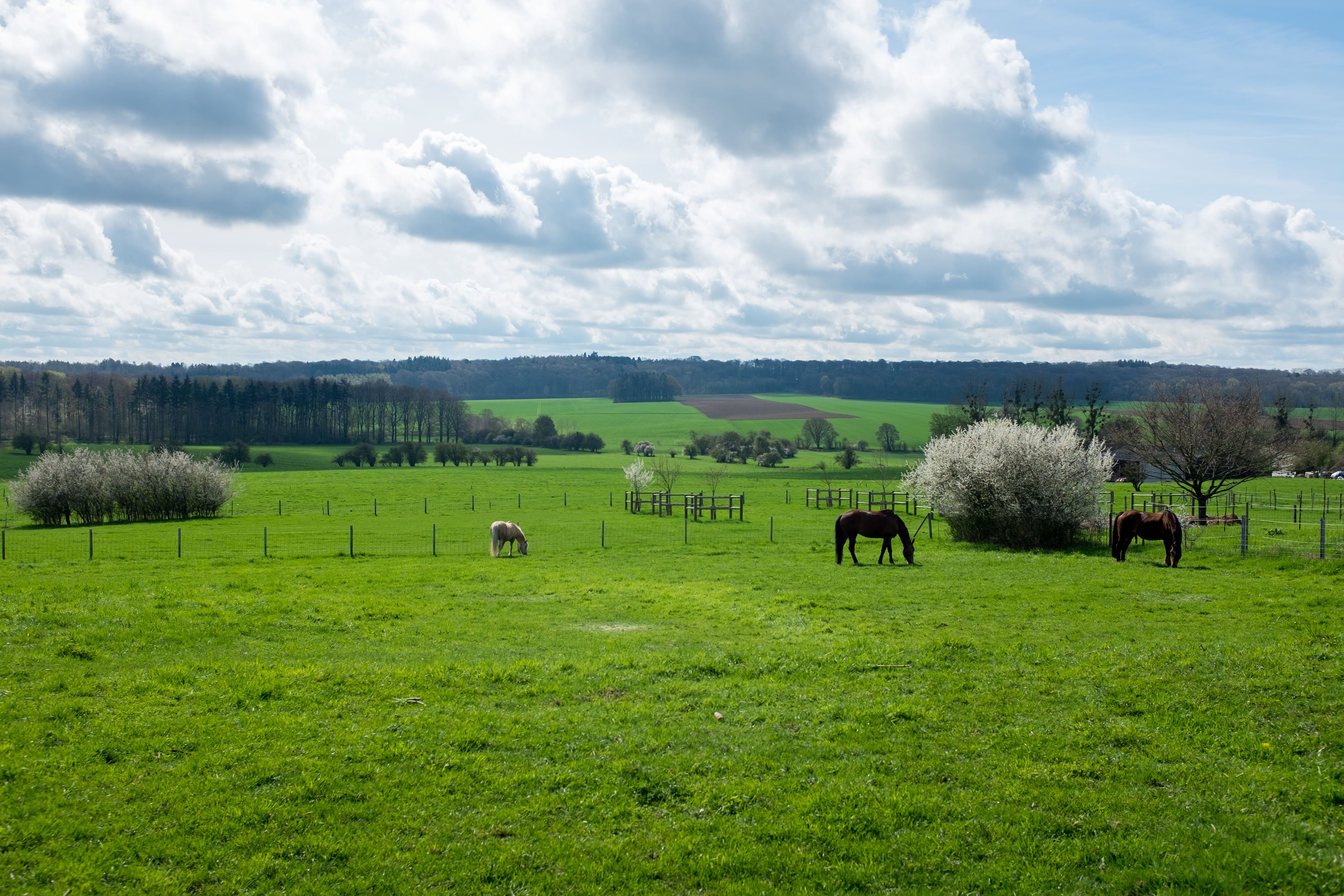 Campagne du Condroz autour de Prim’tout