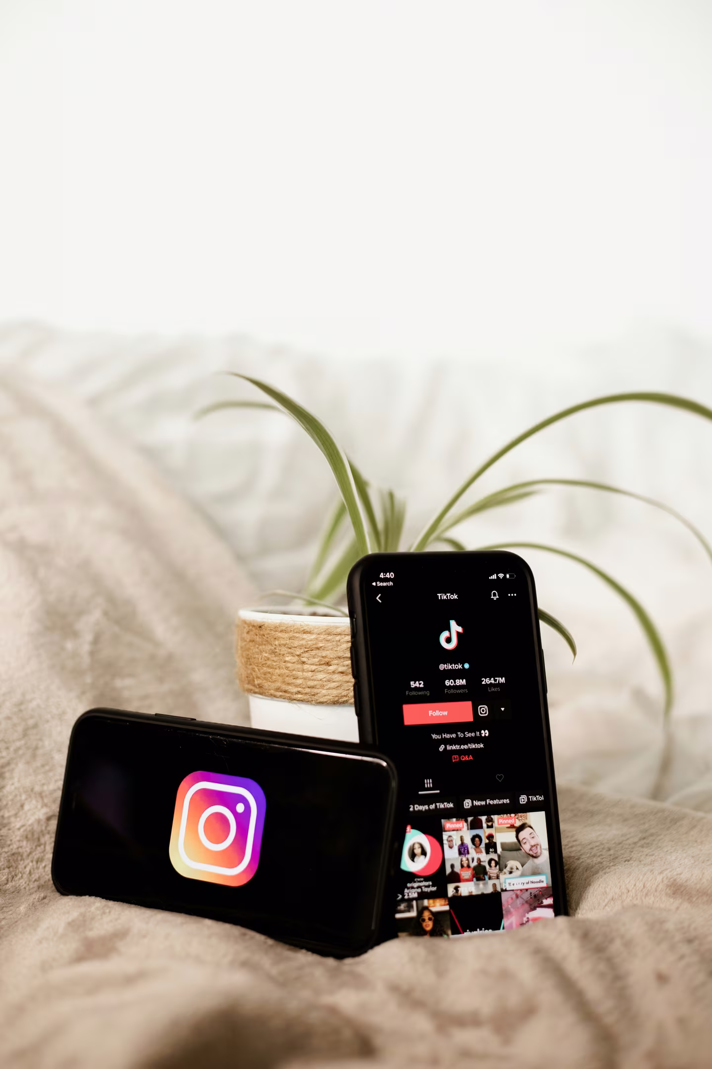 Two smartphones showing the Instagram logo and a TikTok profile, beside a plant
