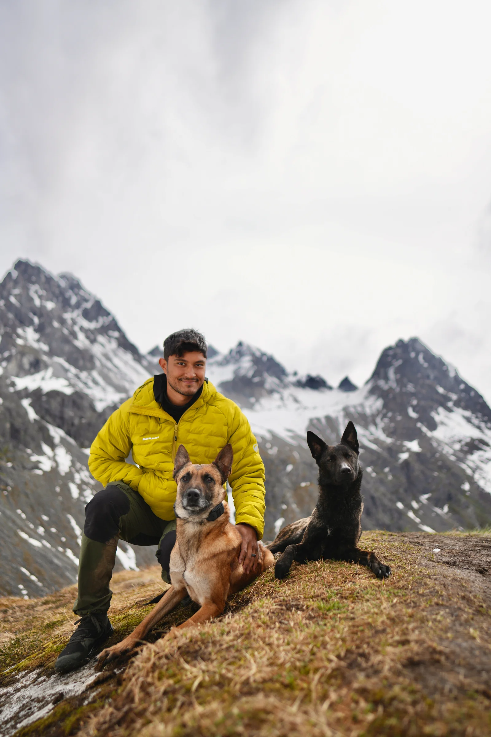 Two dogs enjoying off leash freedom in the mountains