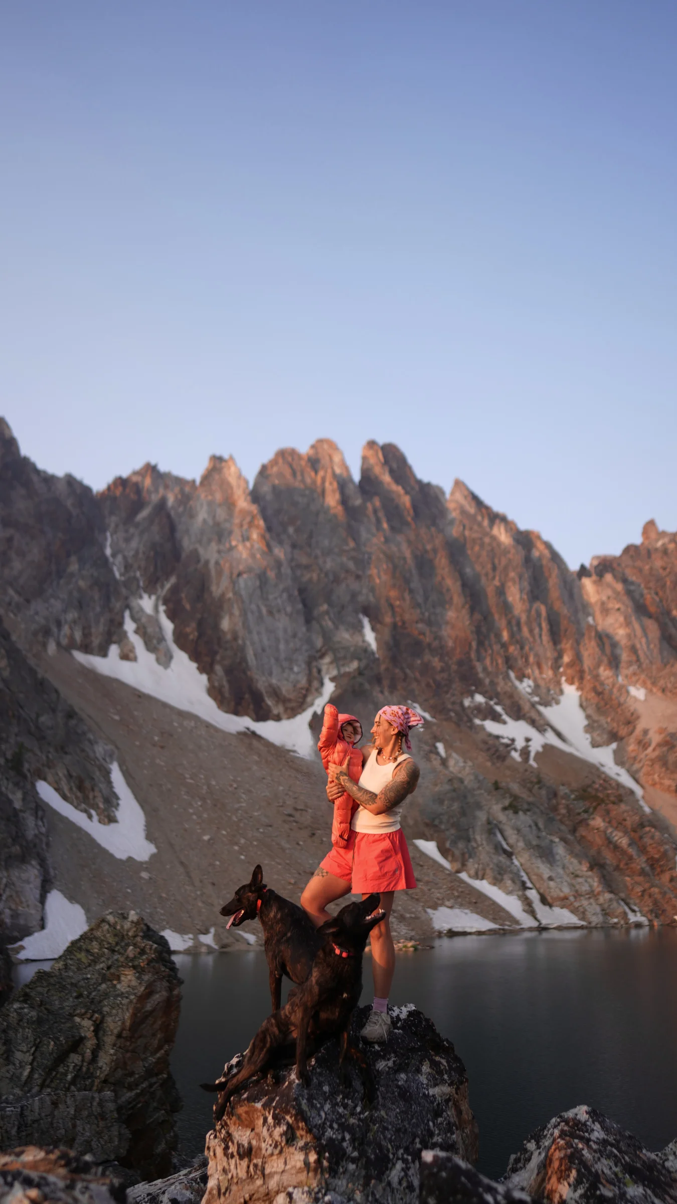 Well trained dogs at an alpine lake