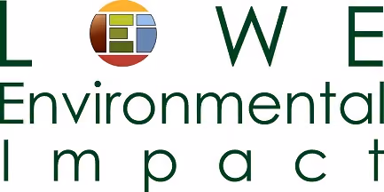 Lowe Environmental Impact logo