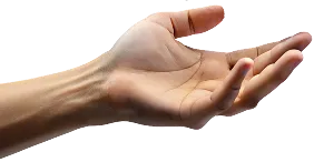 Vector Image