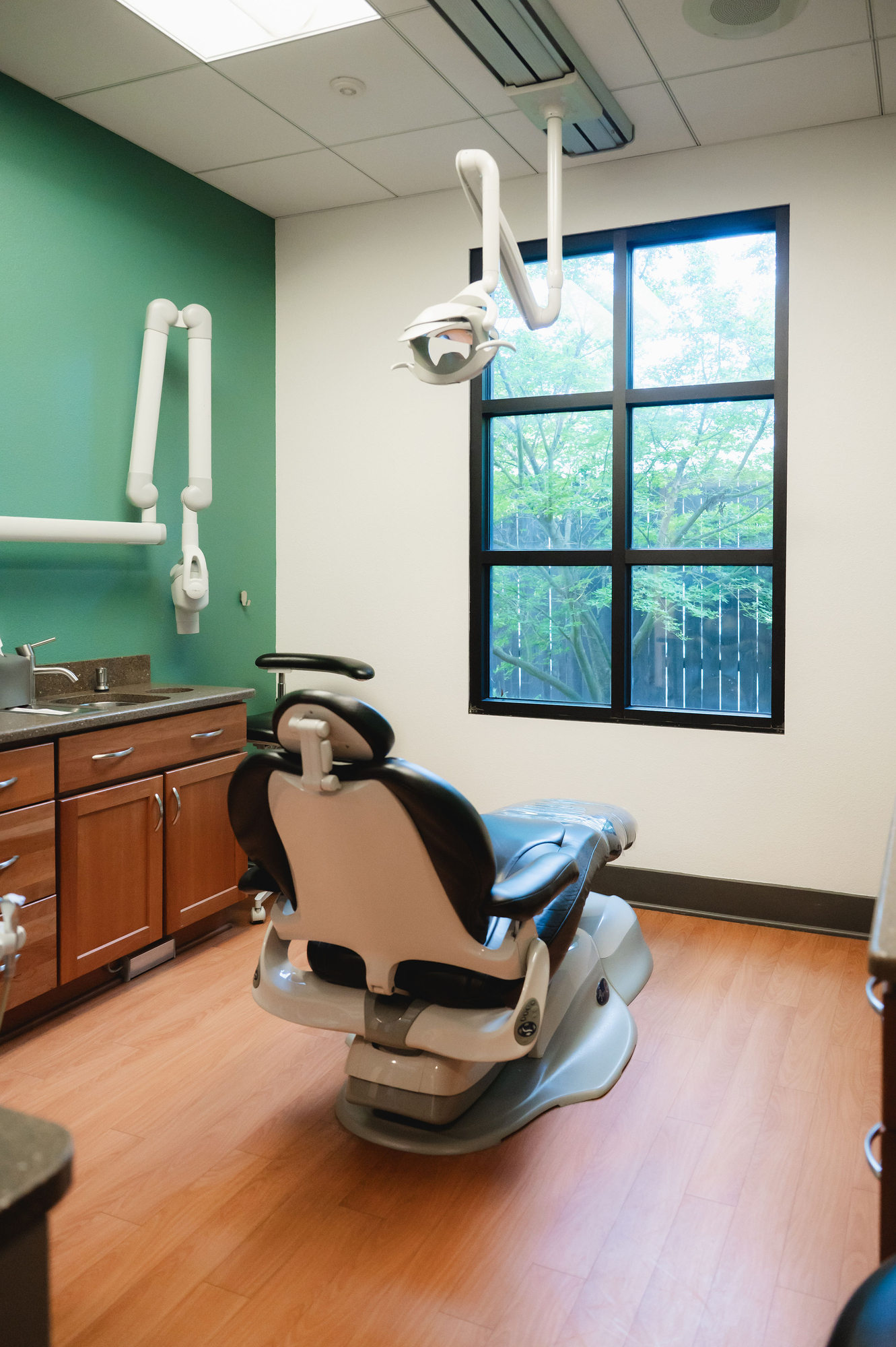 Dental exam room with chair, window showing trees, green wall, and wooden cabinets with a sink.