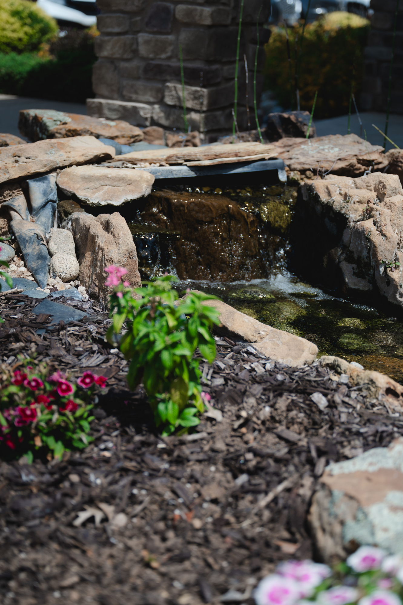 Small garden waterfall flowing over rocks surrounded by green plants and pink flowers.