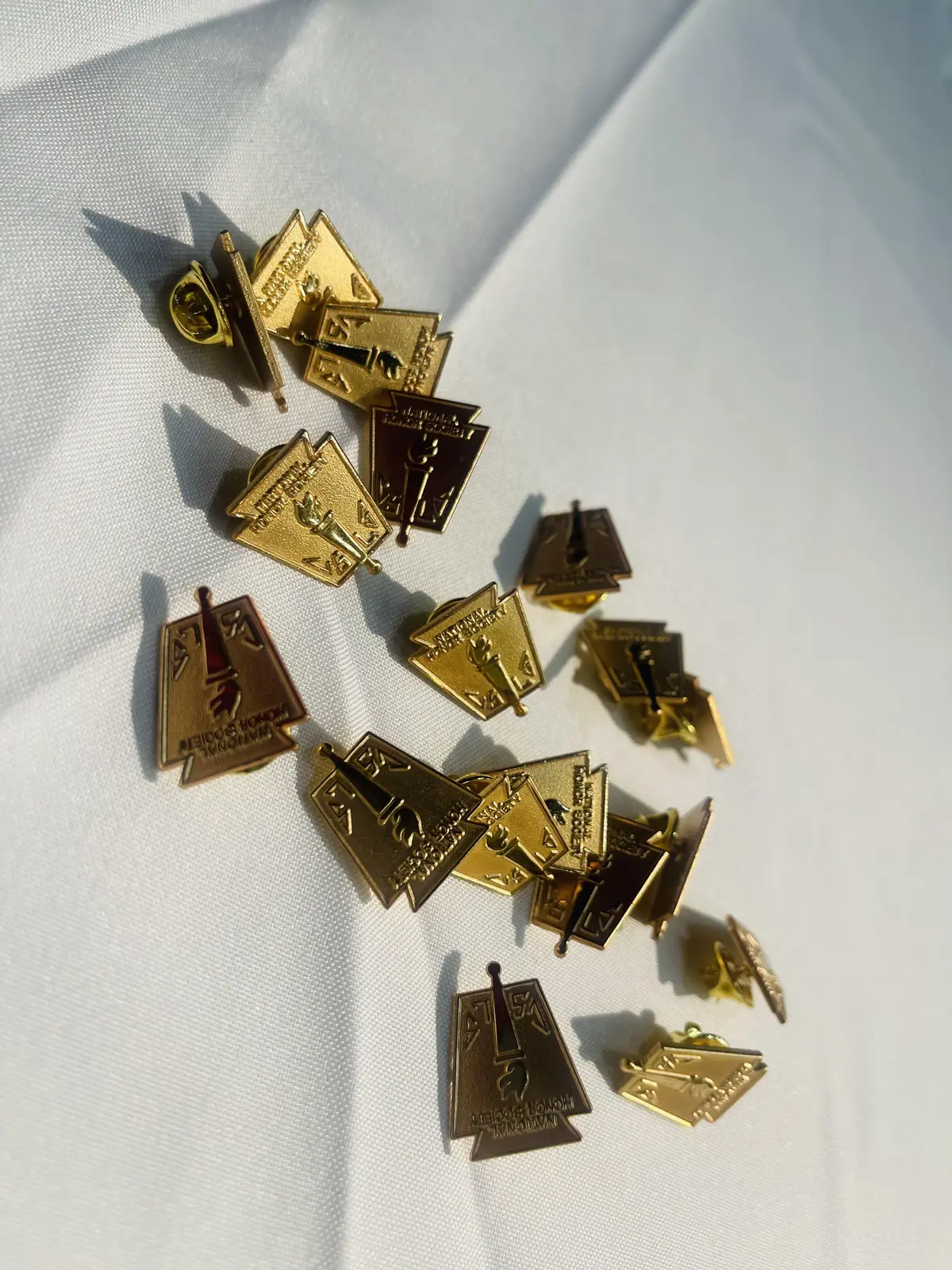 Collection of National Honor Society gold and bronze membership pins