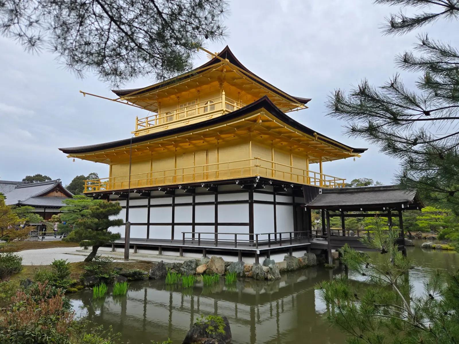 Kinkaku-ji Golden Pavilion reflected in surrounding pond Kyoto Japan