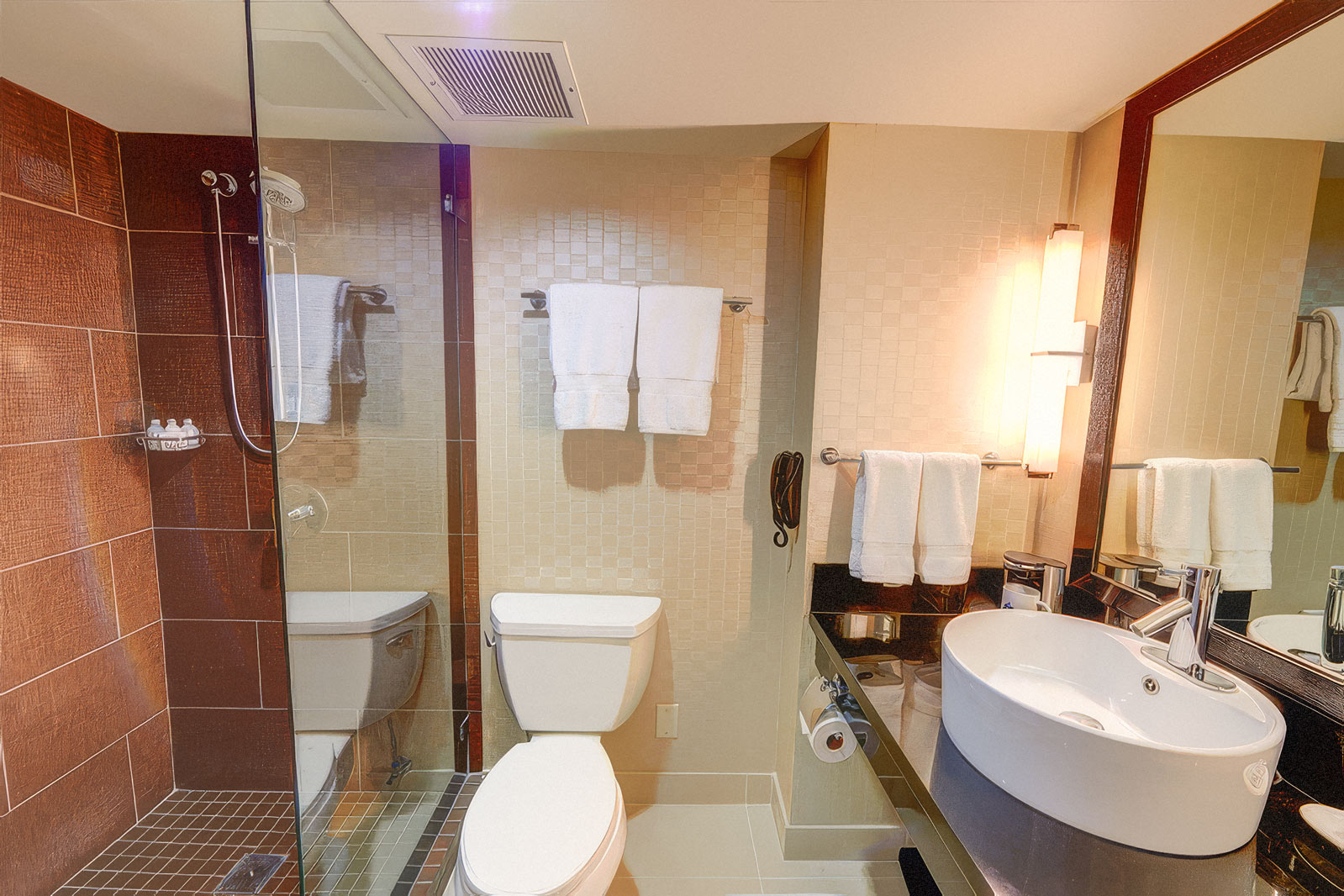 Bathroom with walk-in shower, vanity, and toilet.