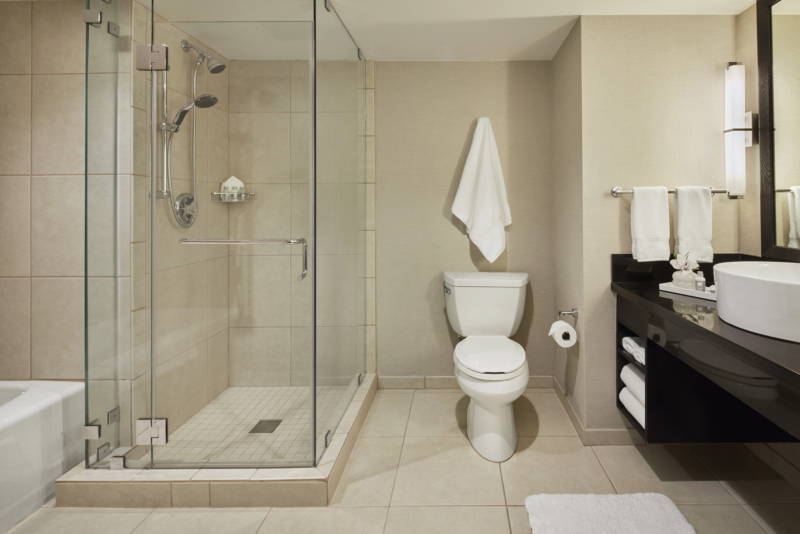 Hotel bathroom with glass shower, toilet, and vanity.