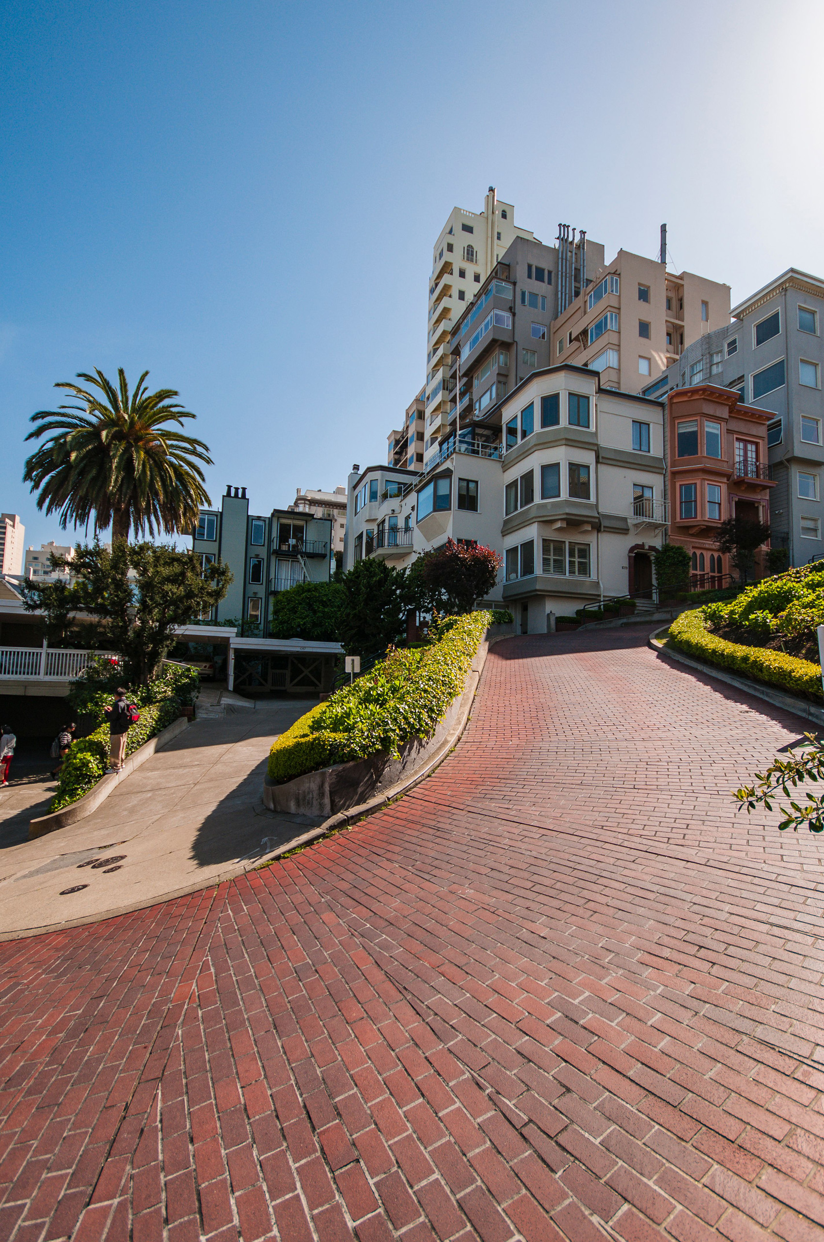 Brick-paved curve on Lombard Street surrounded by hillside homes.