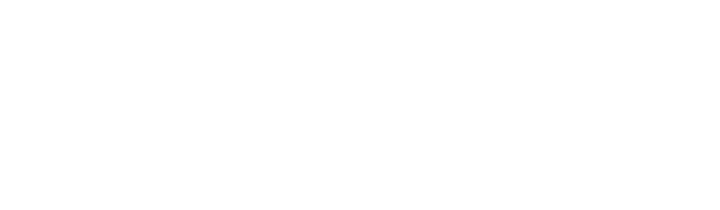 Newsletter Icon